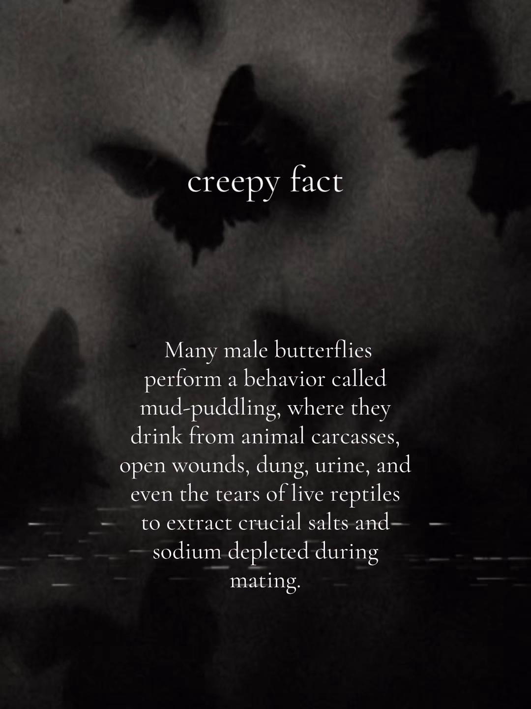 @cyber.vix