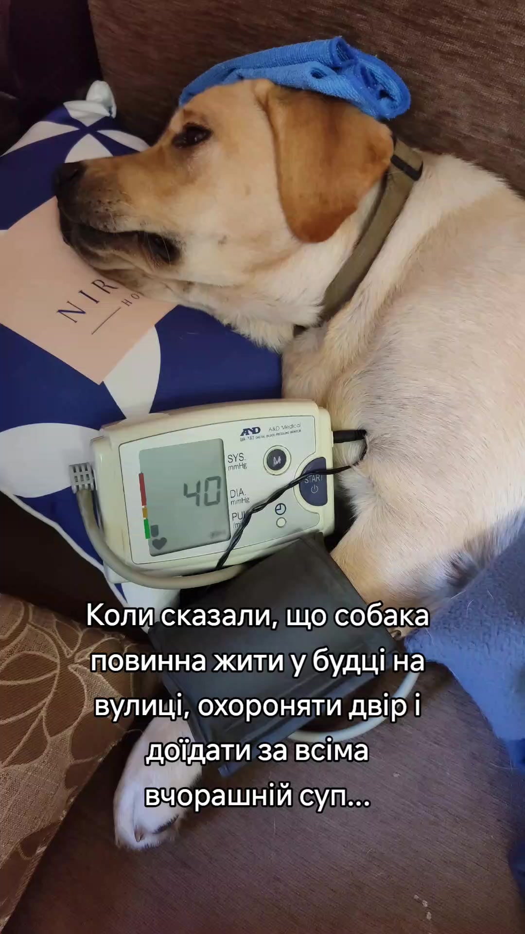 @Макс и Джесси
