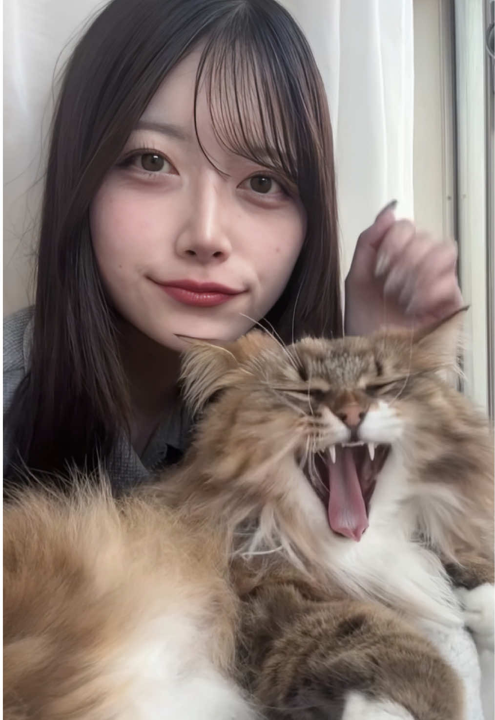 @ｲｽﾞﾐ