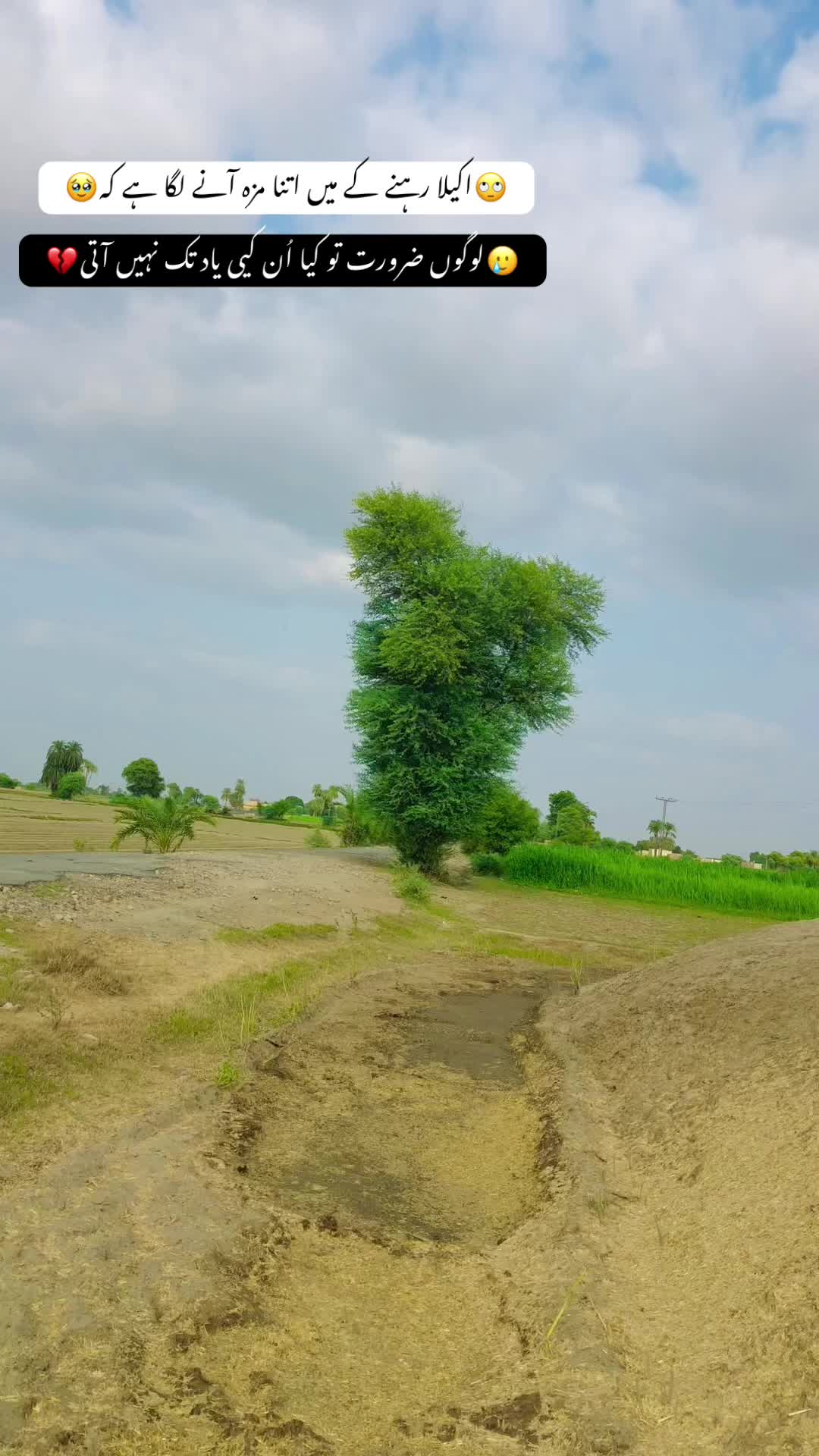 @Liaquatiqbal143😎