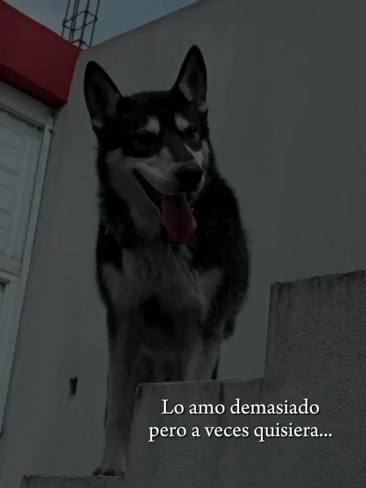 @Yerani Flores