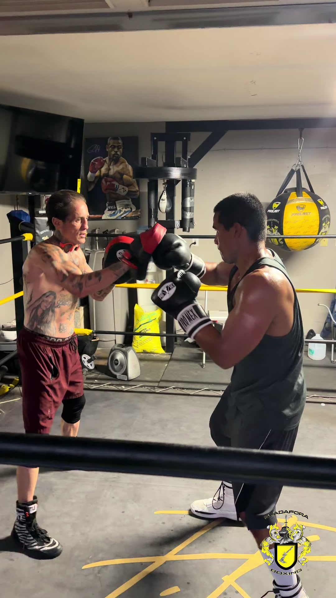 @Spadafora Boxing