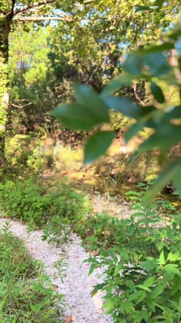 @The Trailhead Diaries 🍃