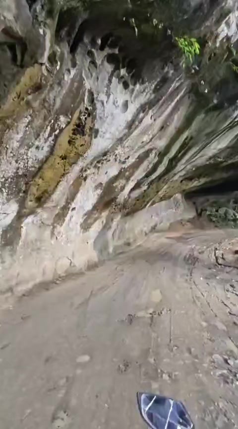 @Shahzadi🇮🇳