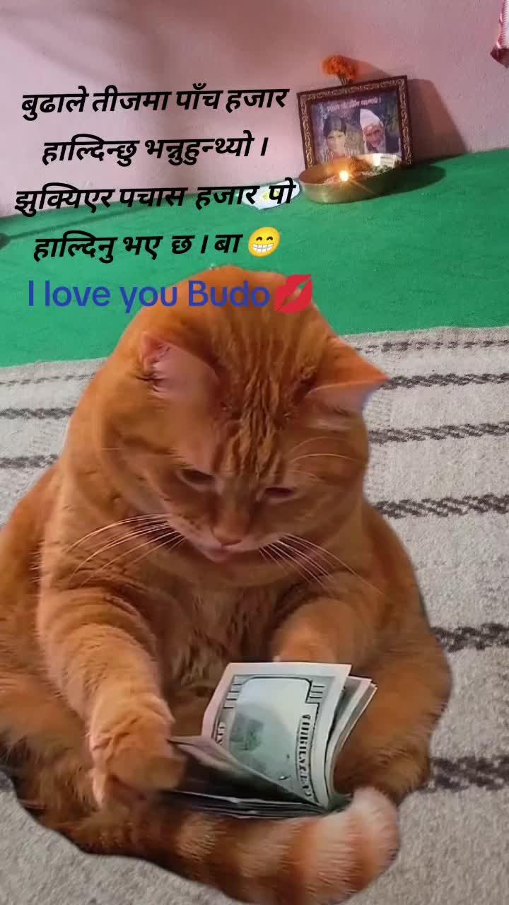 @srijana upadhyay