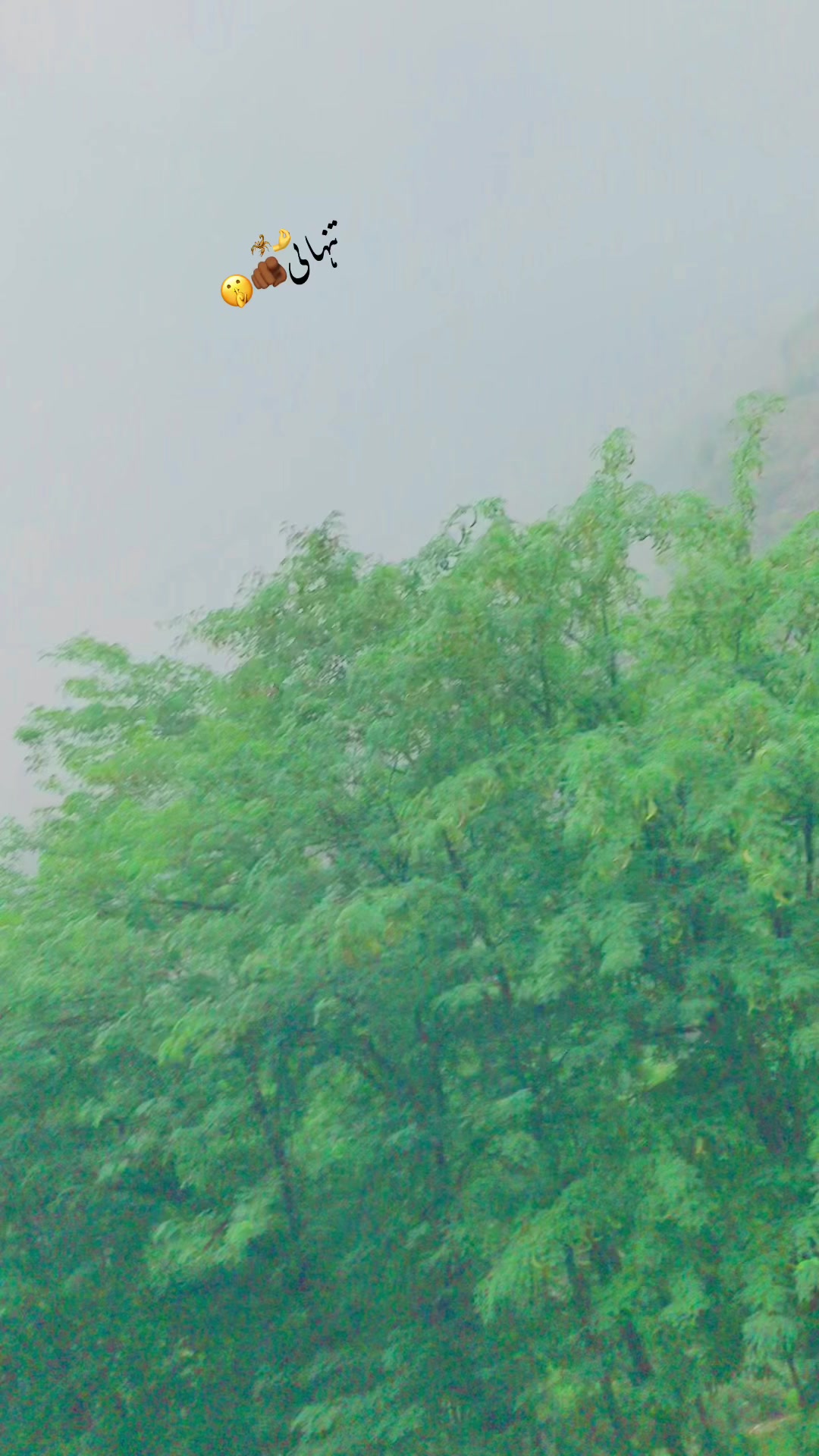 @🇦🇫【z】𝐤𝐦𝐤 𝐤𝐢𝐧𝐠.313✅