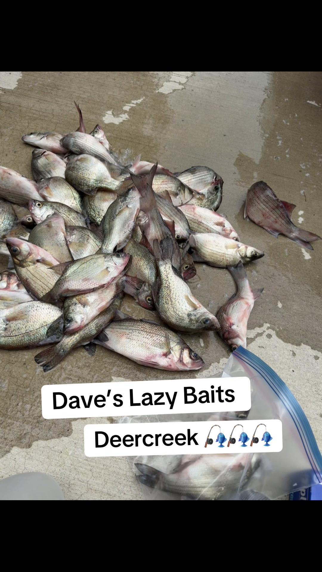 @Dave&rsquo;s Lazy Baits