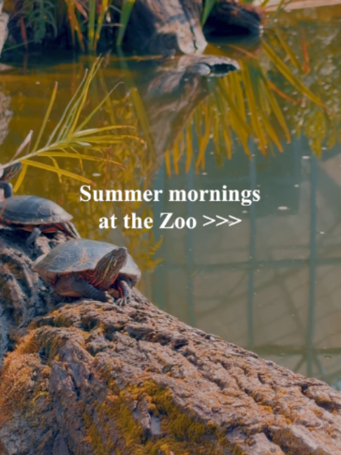 @The Toledo Zoo
