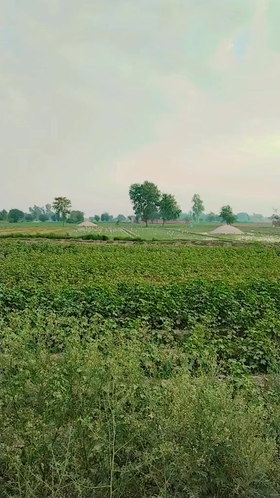 @zaheerfarooqi