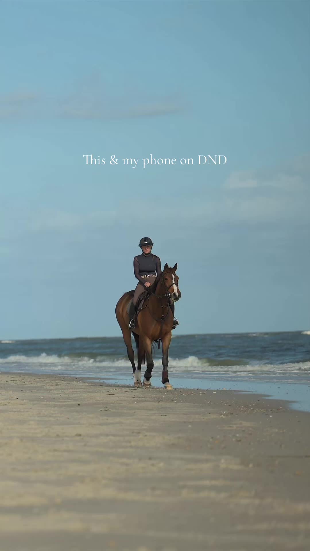 @Free Ride Equestrian