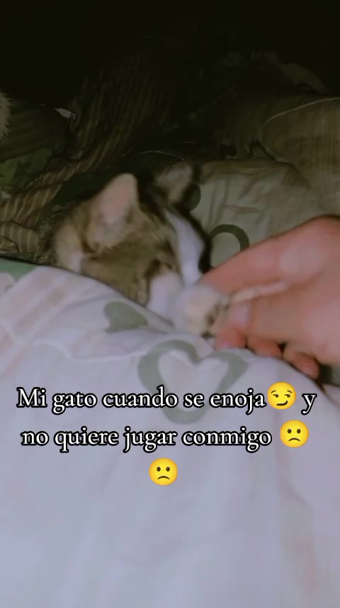 @cespedes Ofelia 🥰🌹&hearts;️