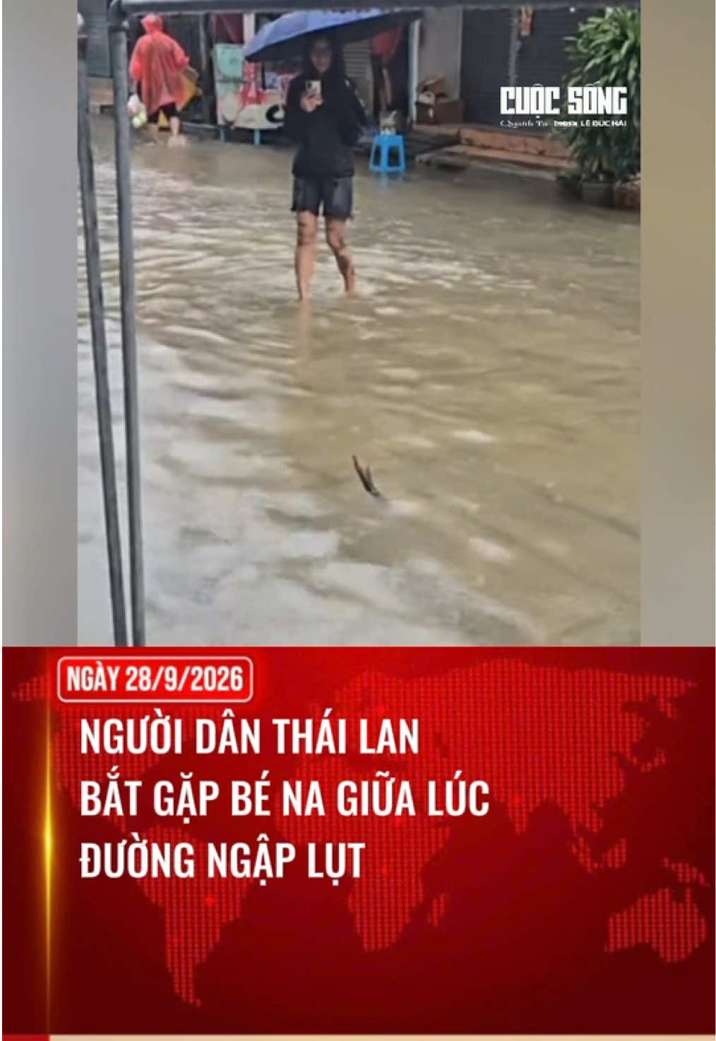 @Cuộc Sống Quanh Ta