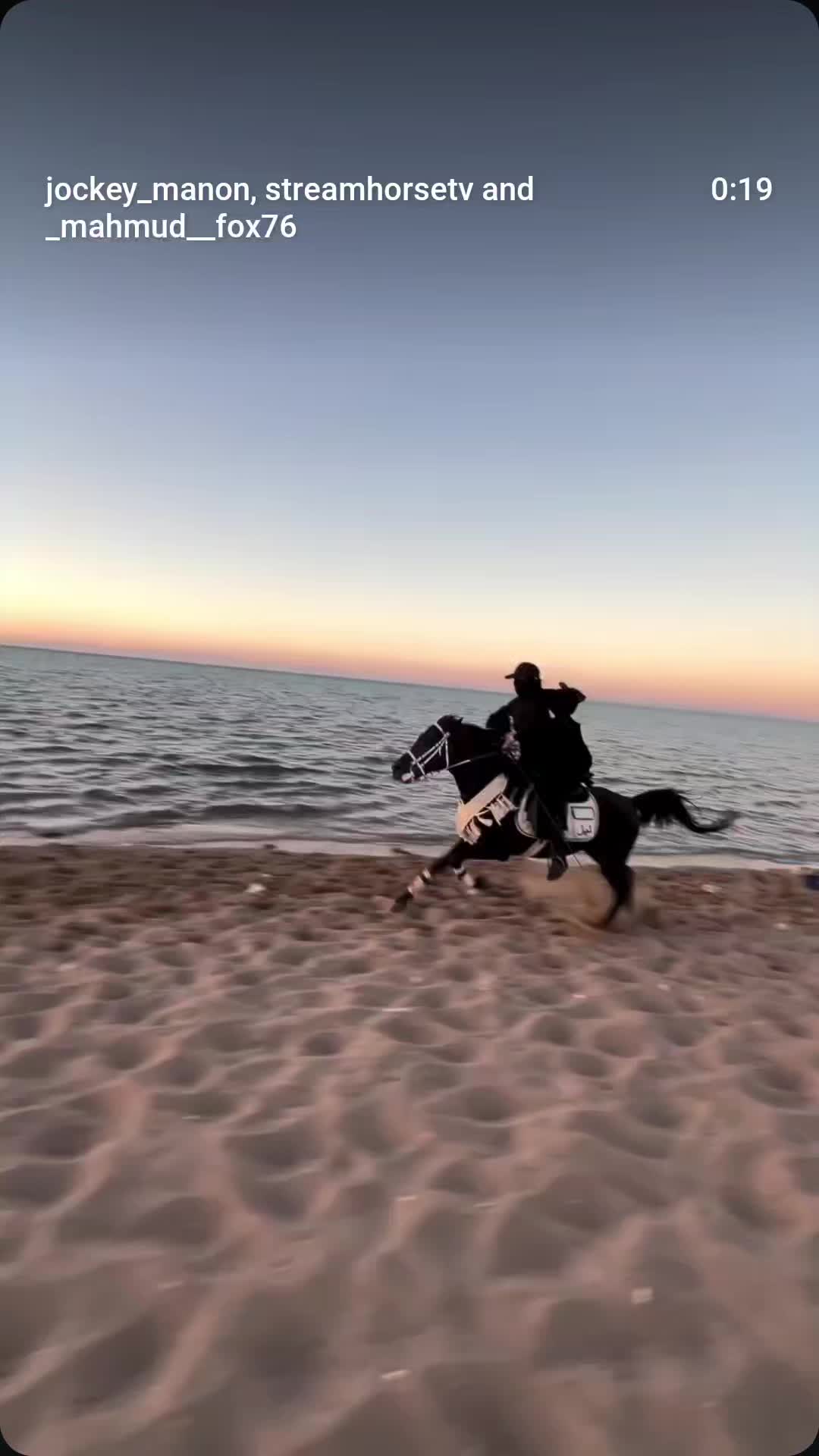 @streamhorse