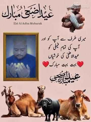@iqbal Qureshi
