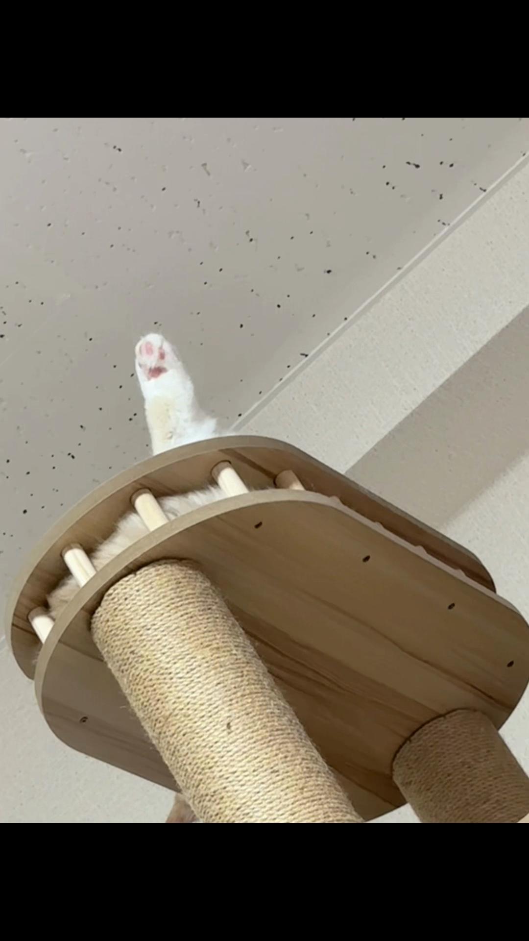 @Kiki