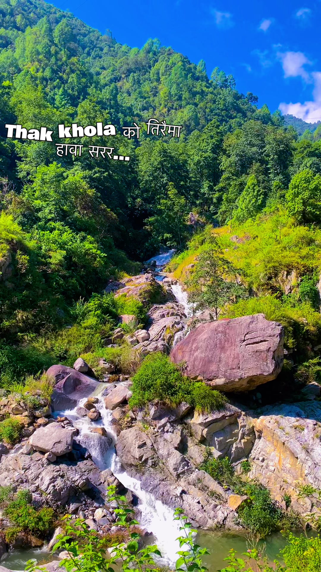 @नवRaaj🐾