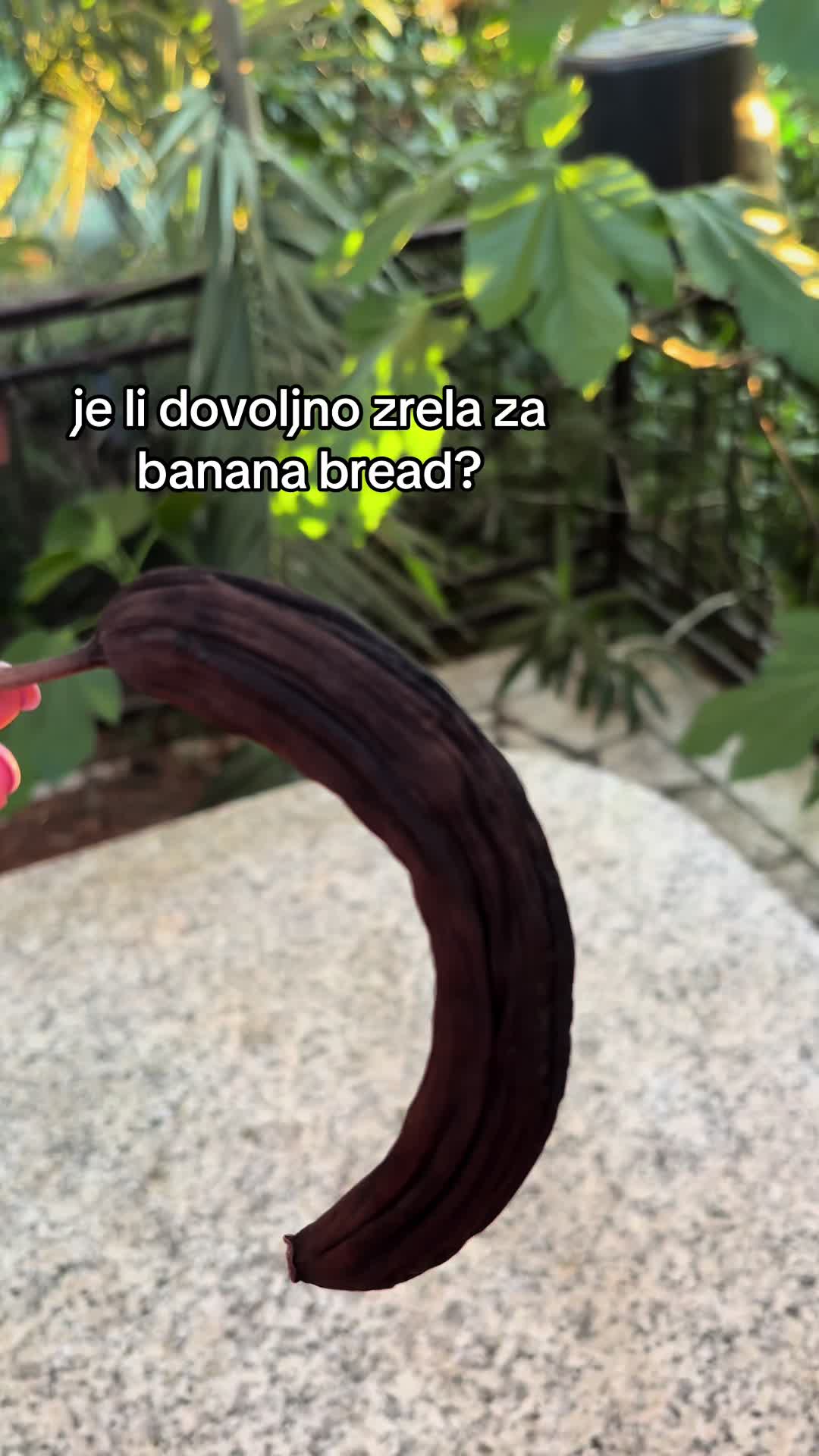 @Sara Cetina