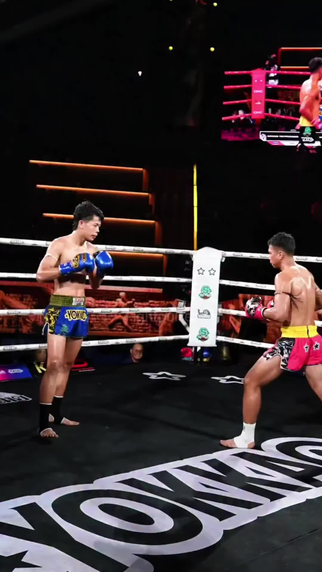 @fightpulse