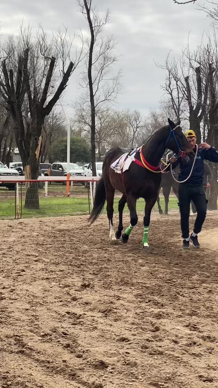 @Sofii Brito🏇🏽