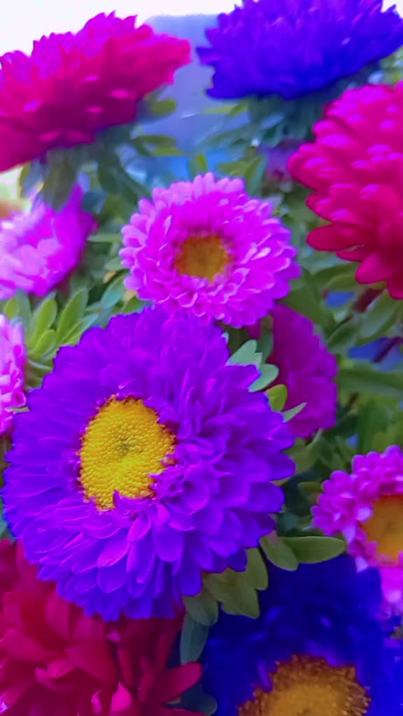 @🥀