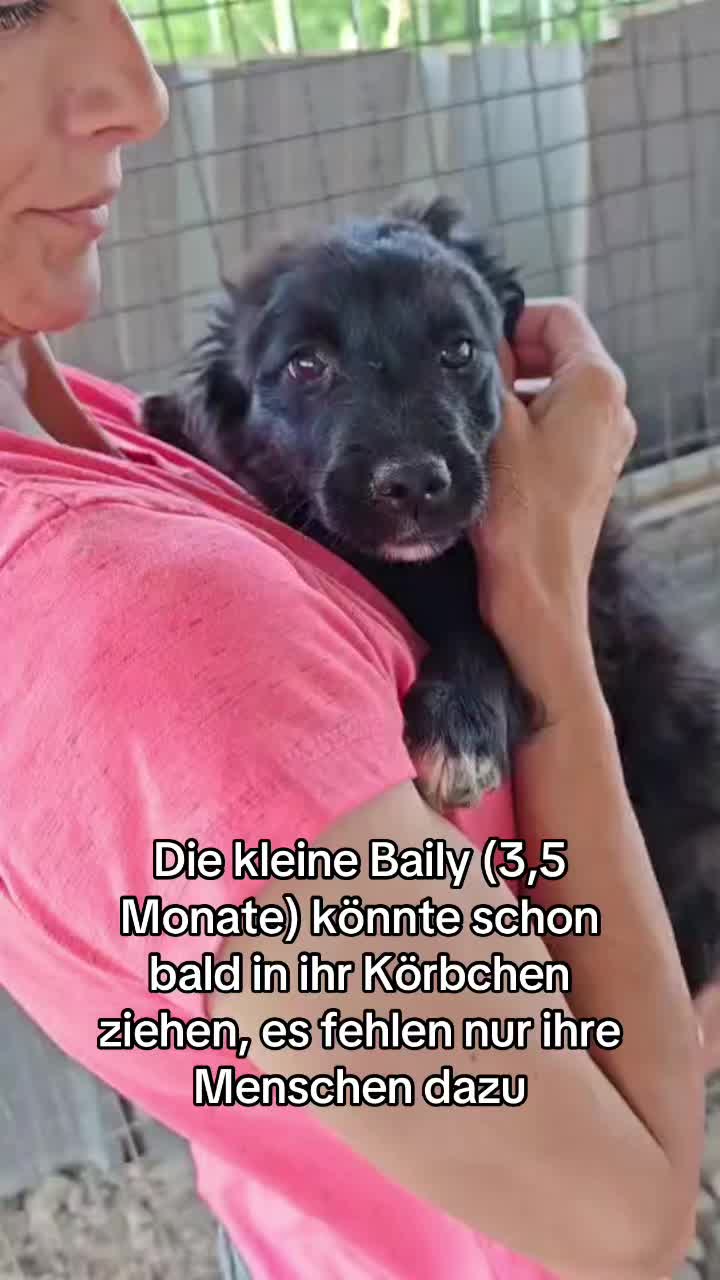 @Ankerhunde e.V.