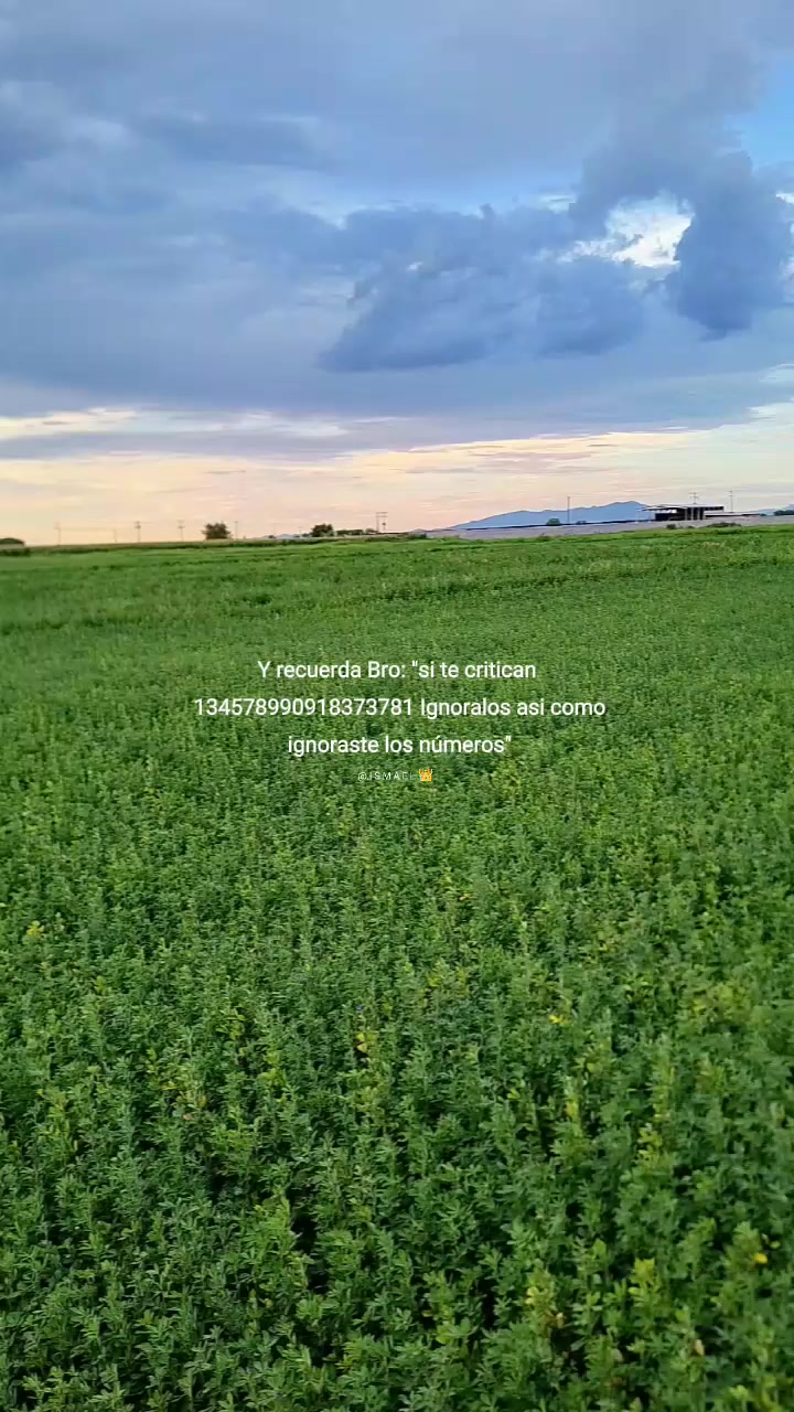 @Jesús