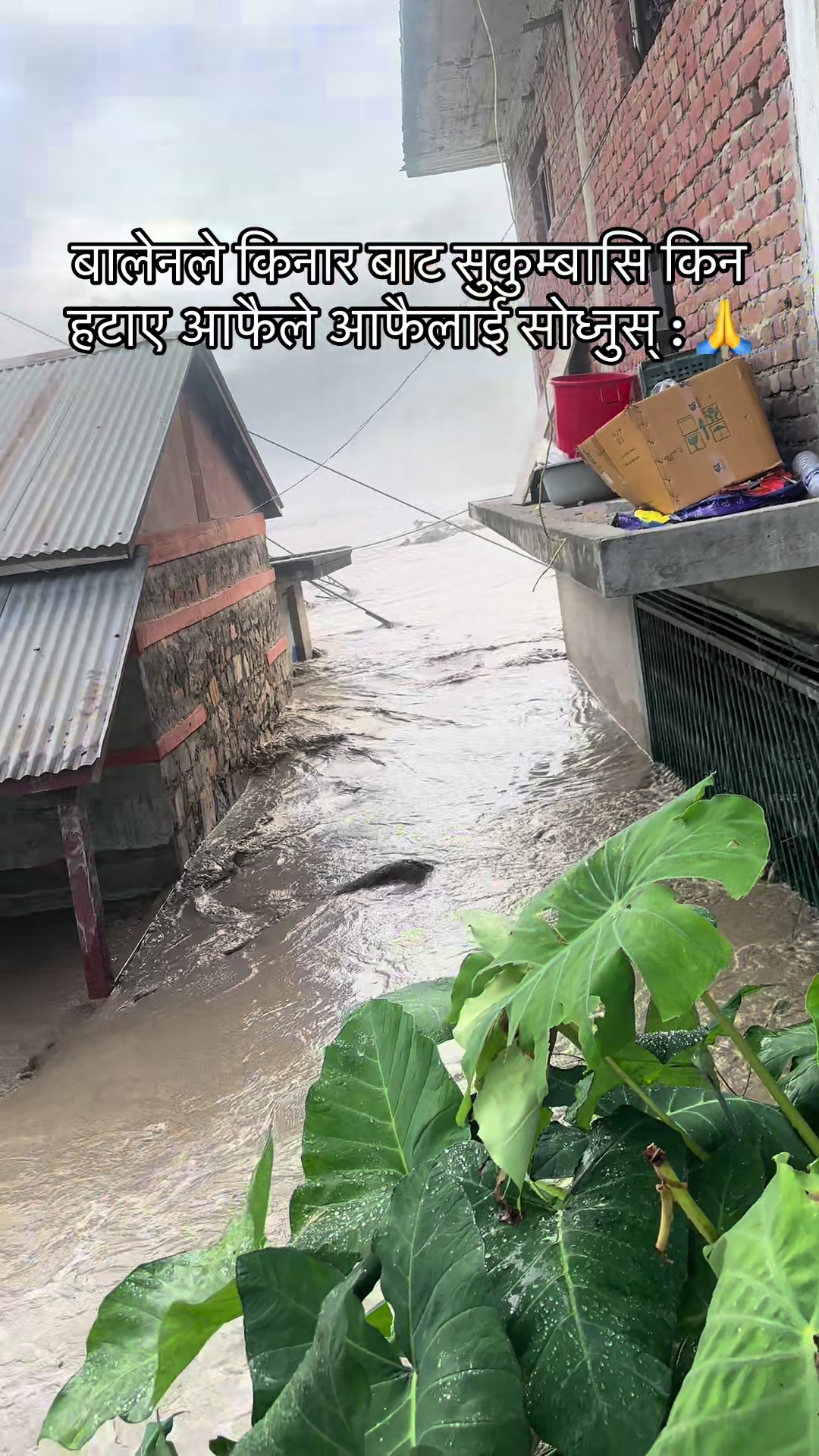 @doremon