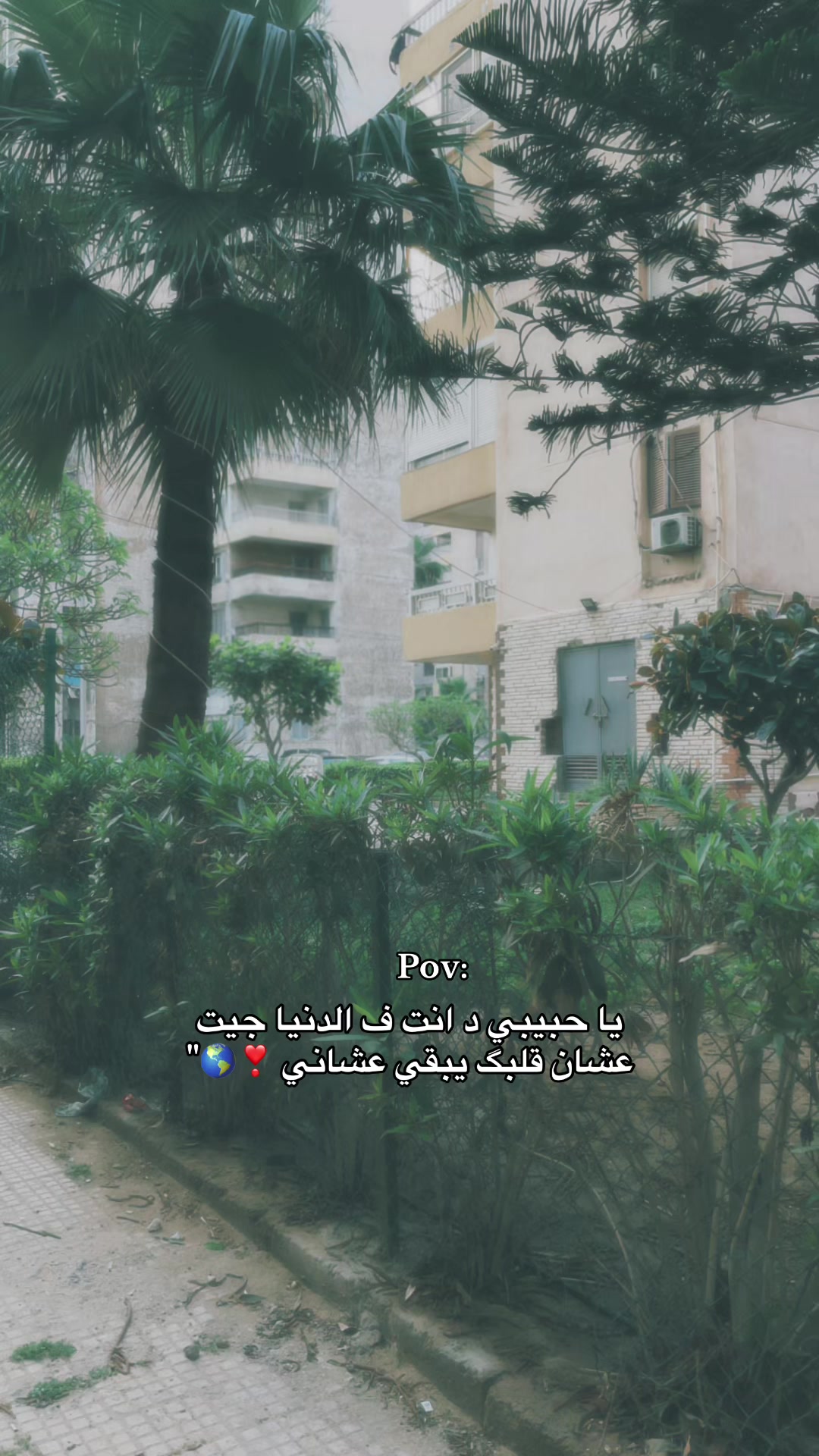 @loza_adel