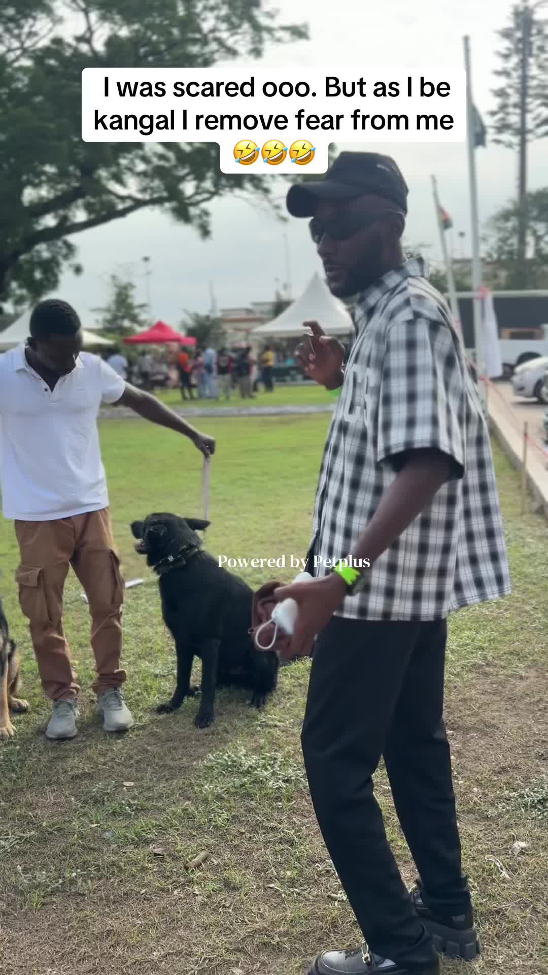 @Mothersheila_DogTv