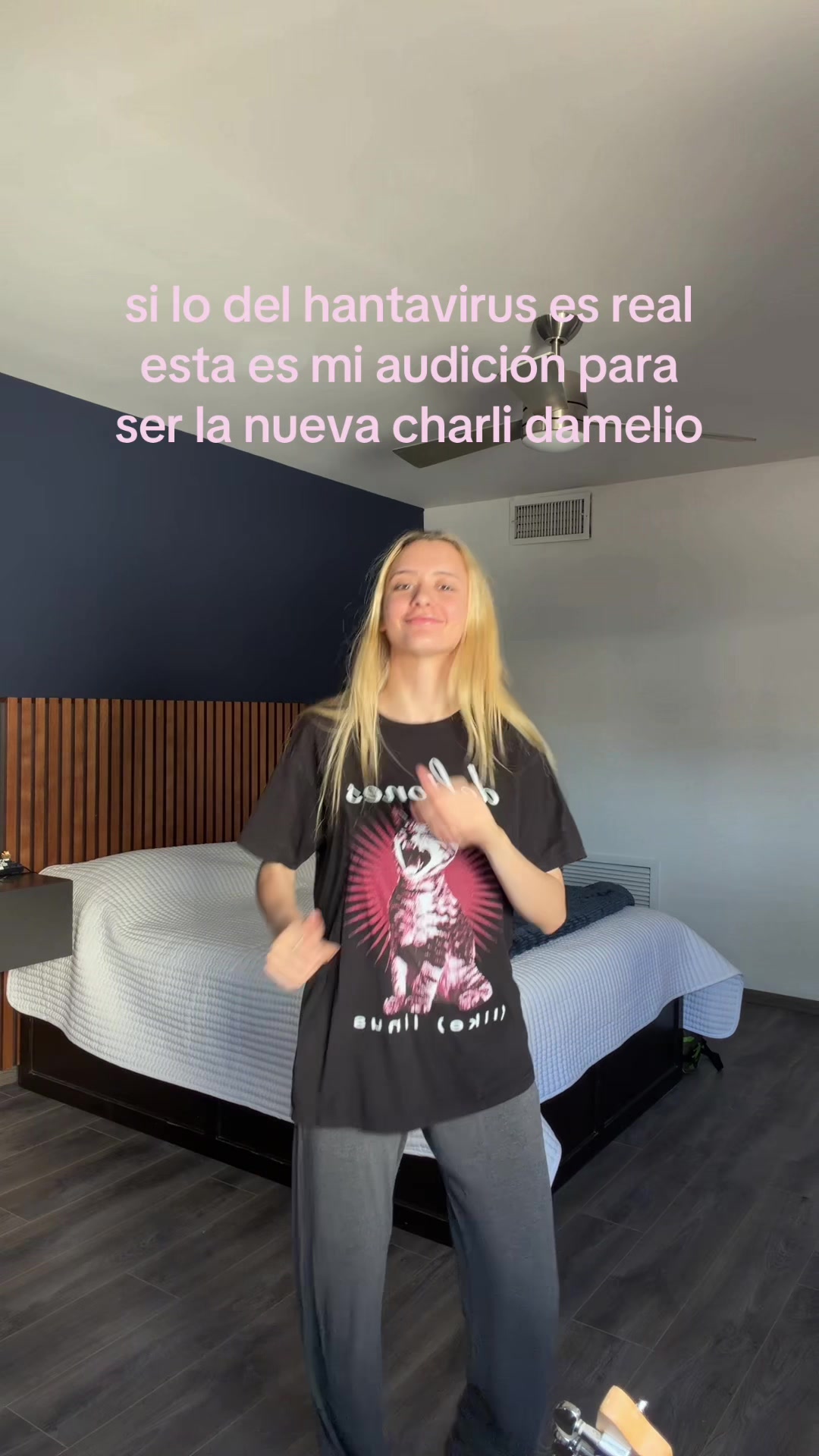 @isabola