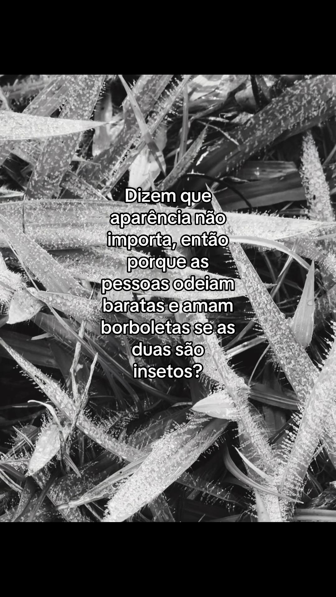 @w.wops