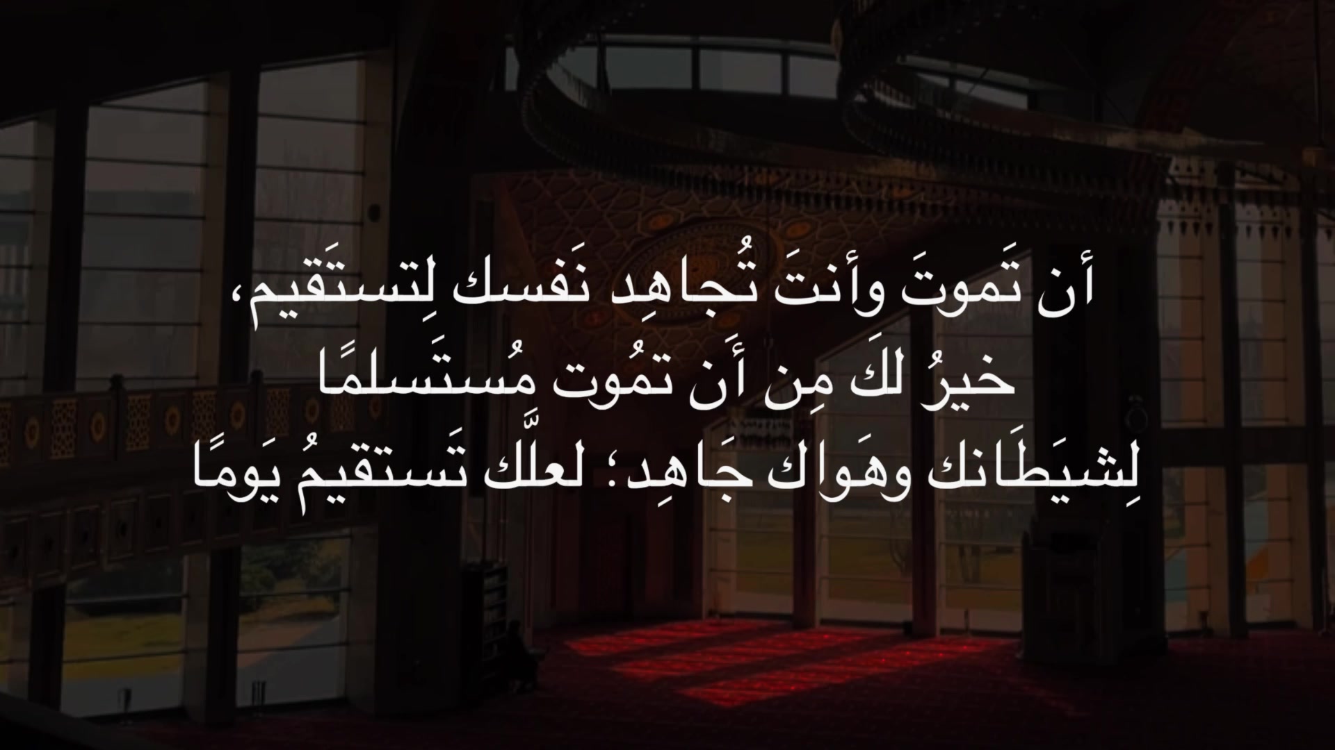 @أشـࢪف | 𝓐𝓼𝓱𝓻𝓪𝓯