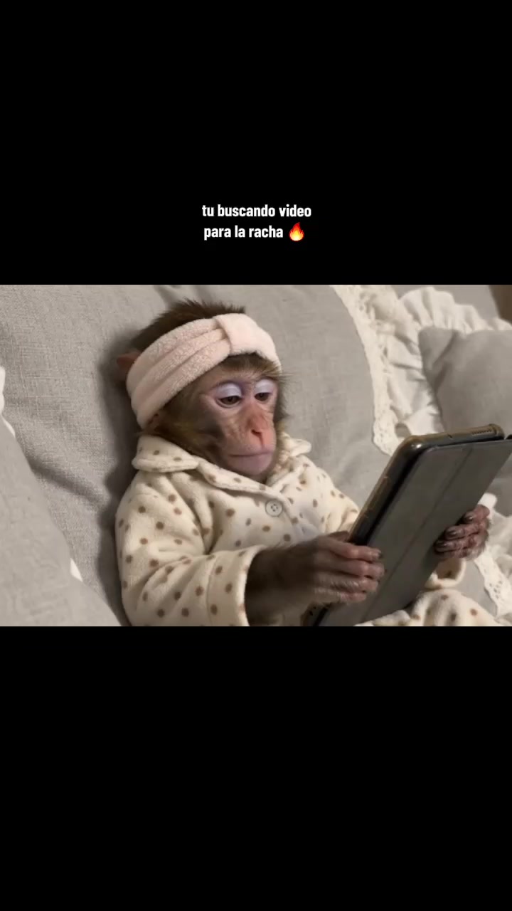 @RabPesito 🔥