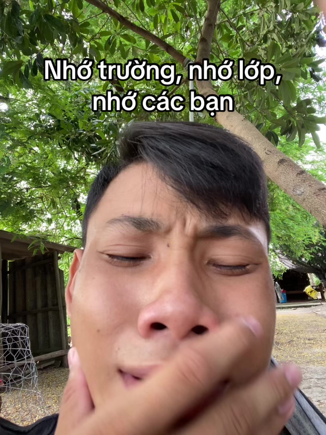 @banddz7