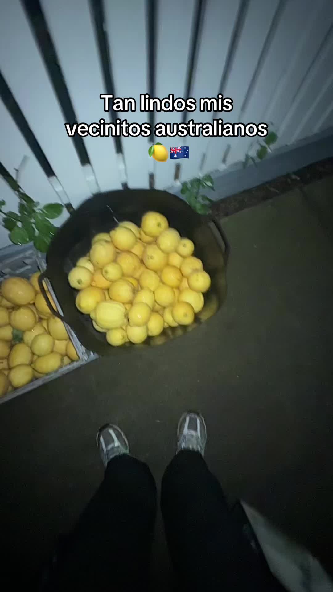@Leo 🇲🇽🇦🇺