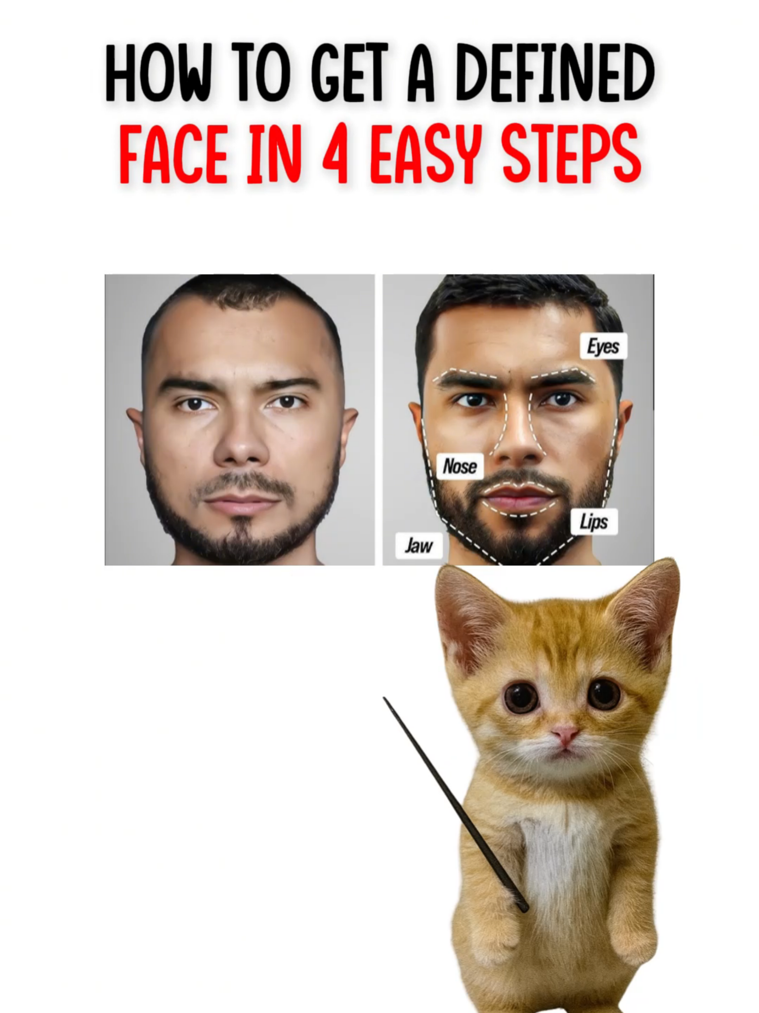 @mrkittyn