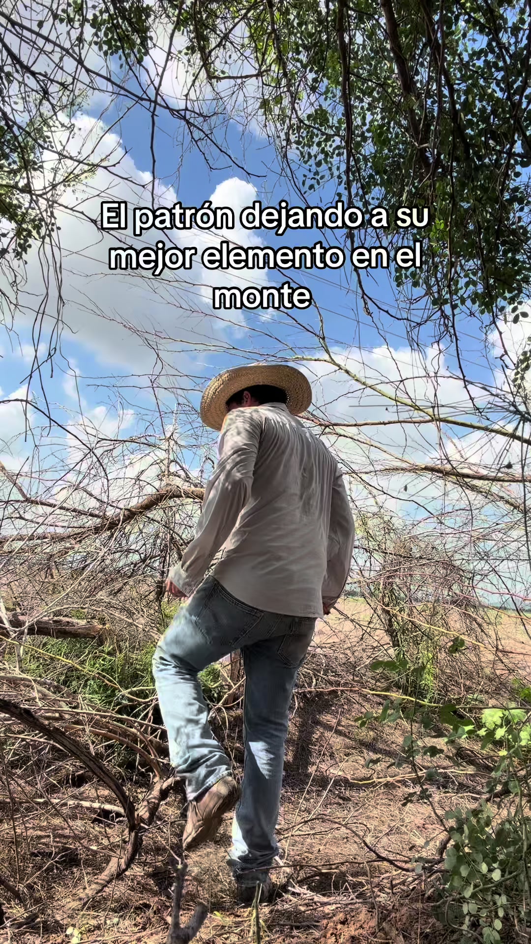 @Elpedrito19