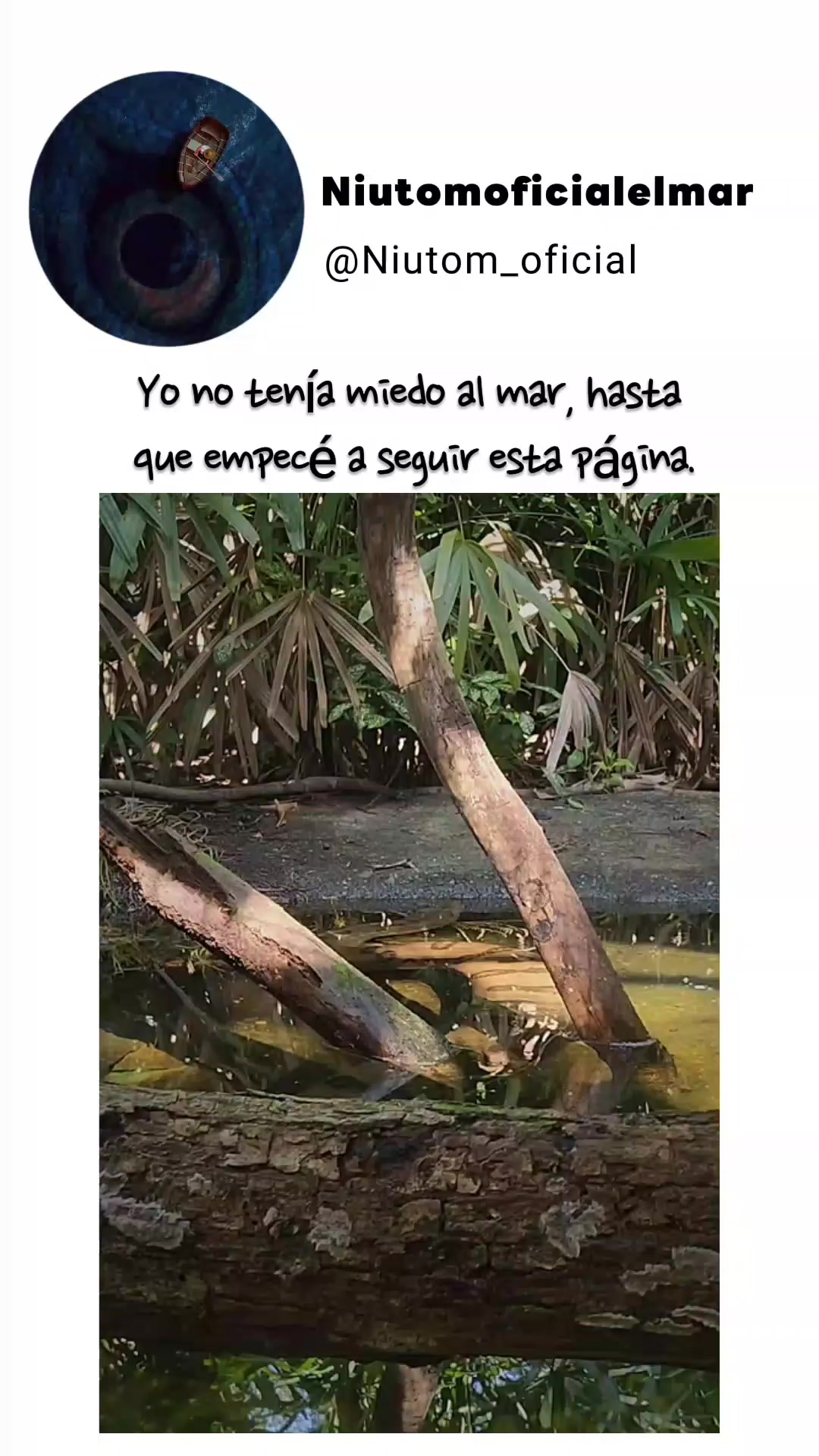@🌊️niutom oficial el mar 🌊