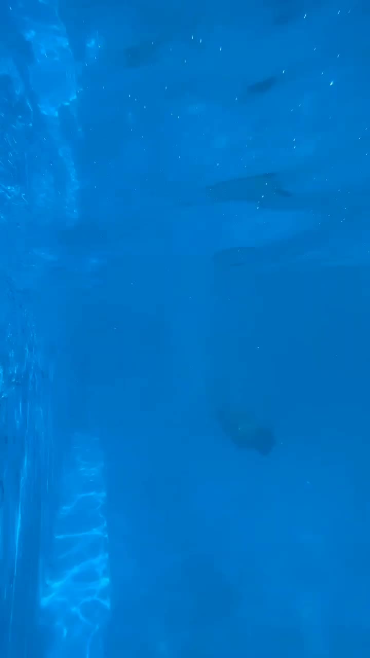 @𝐀𝐥𝐢 𝐊𝐚𝐳𝐚𝐧 ♛