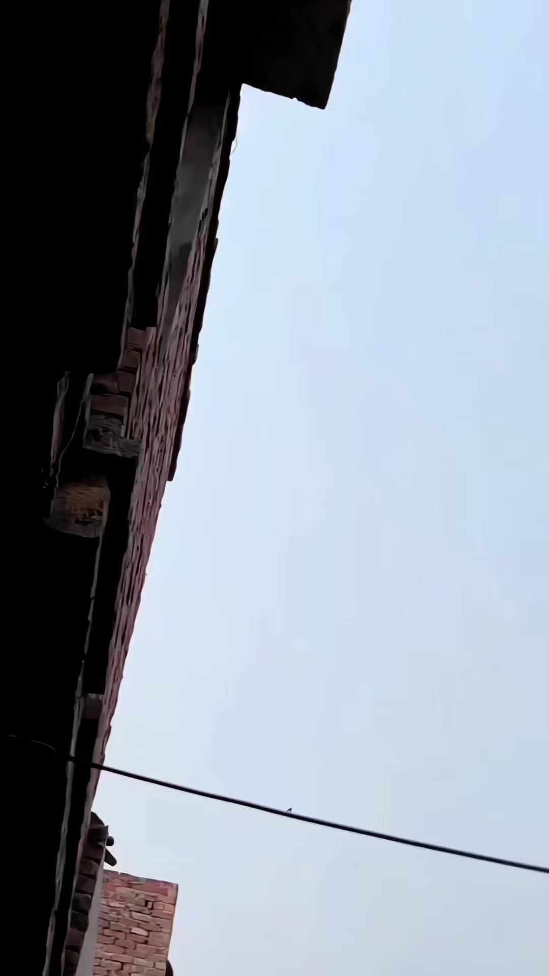@✨ 𝓟𝓲𝓬𝓮𝓼 🦅