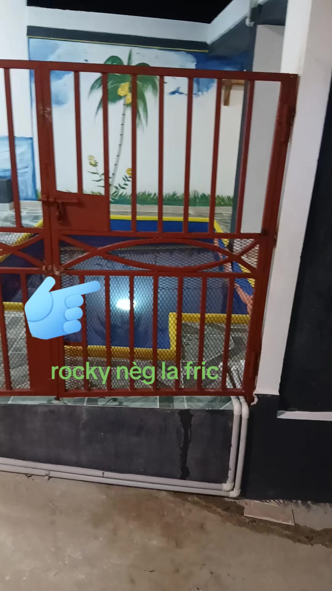 @rockyneg