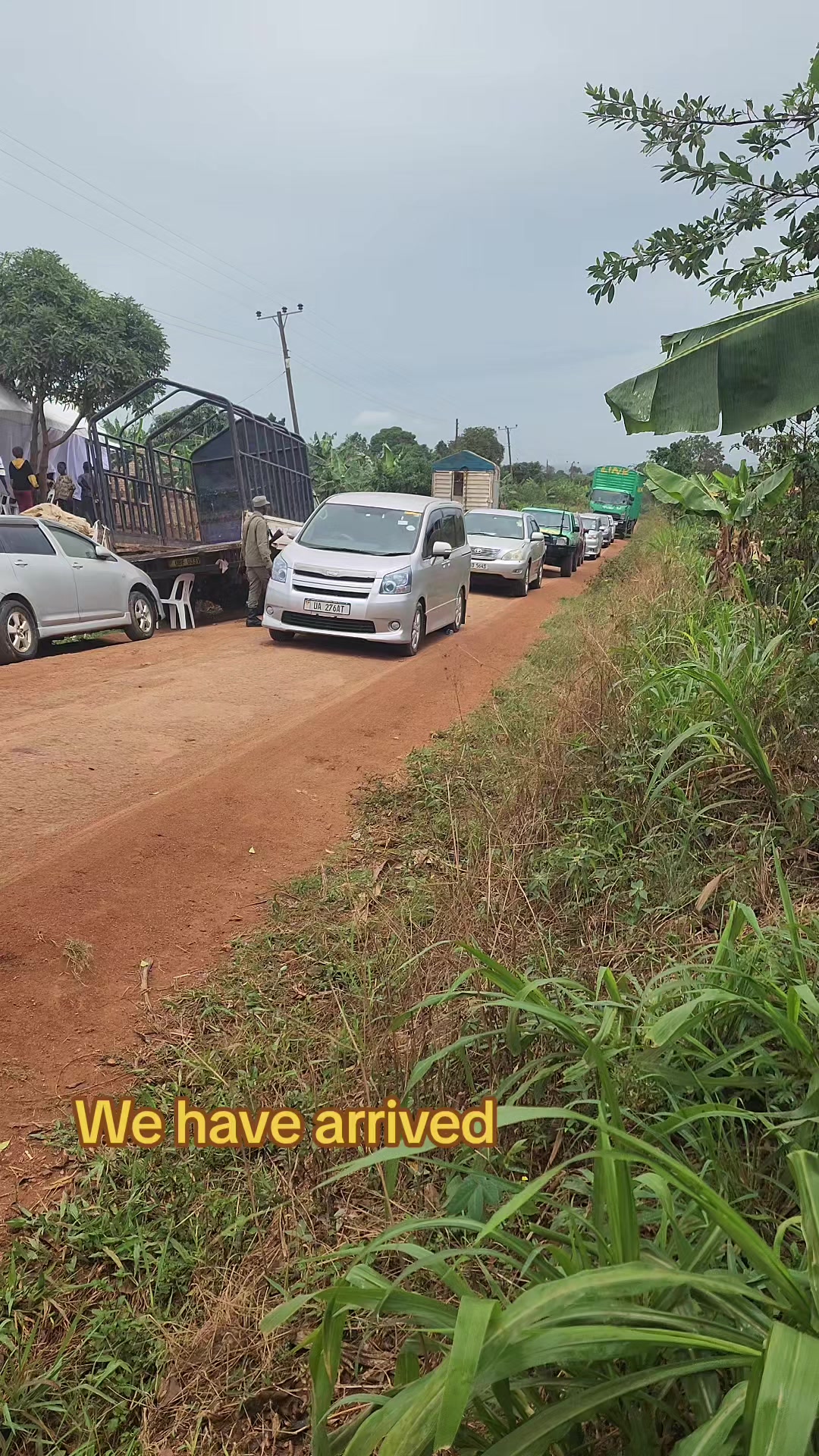 @Link Bus services Ltd