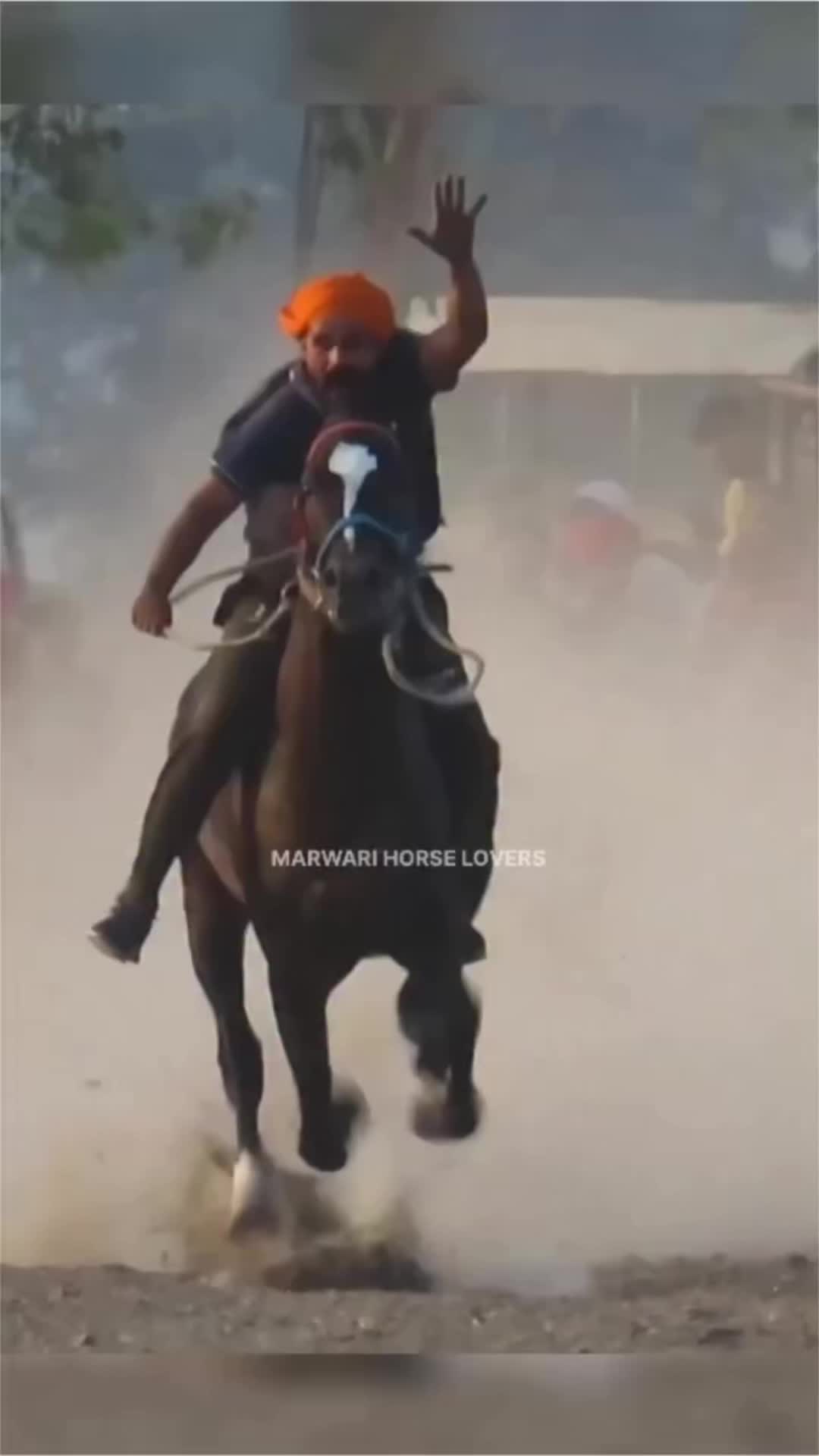 @🏇 MARWARI HORSE RACING 🏇