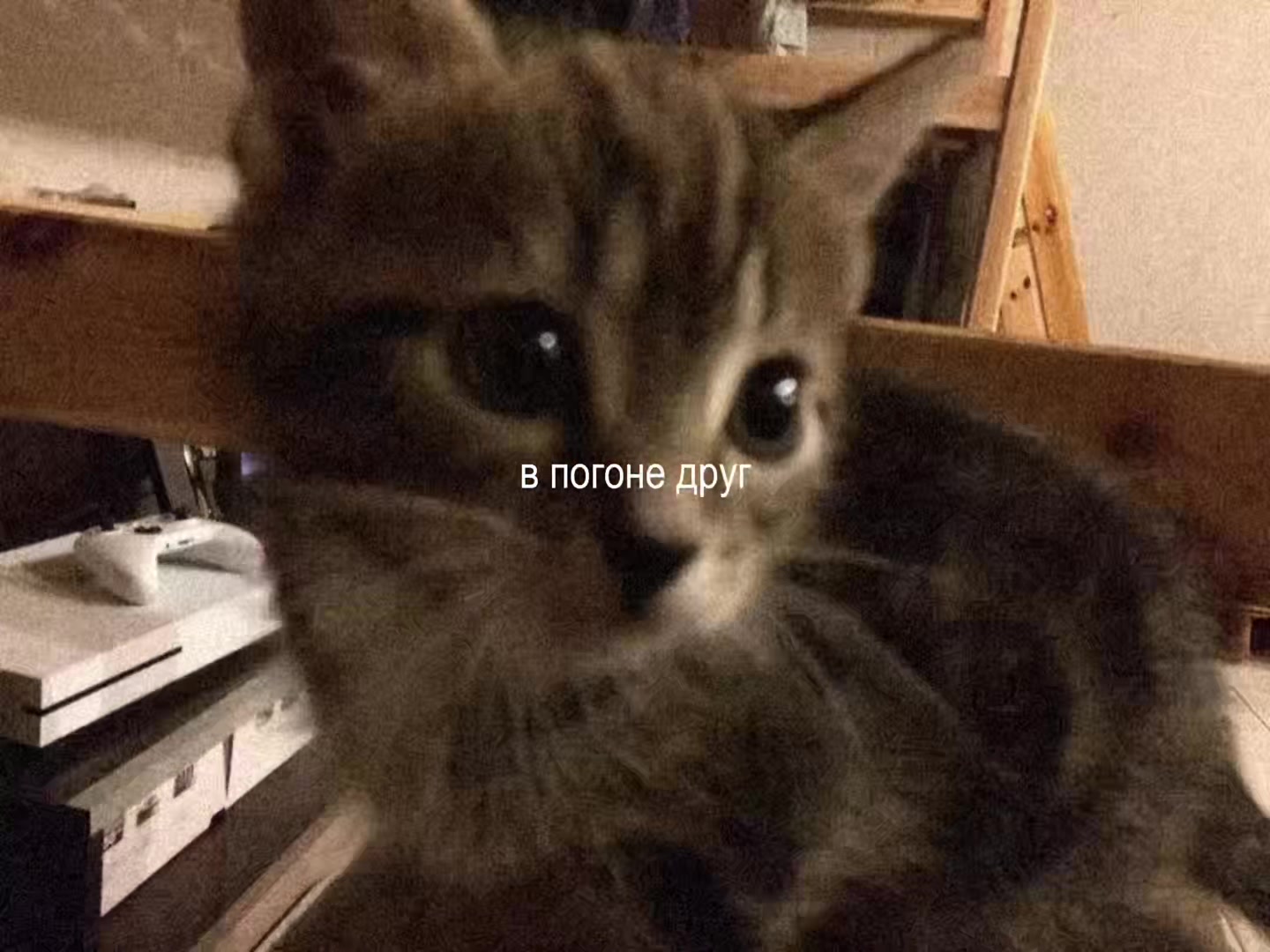 @𝑀 🤍