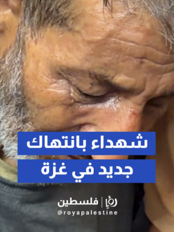 @Royapalestine رؤيا فلسطين