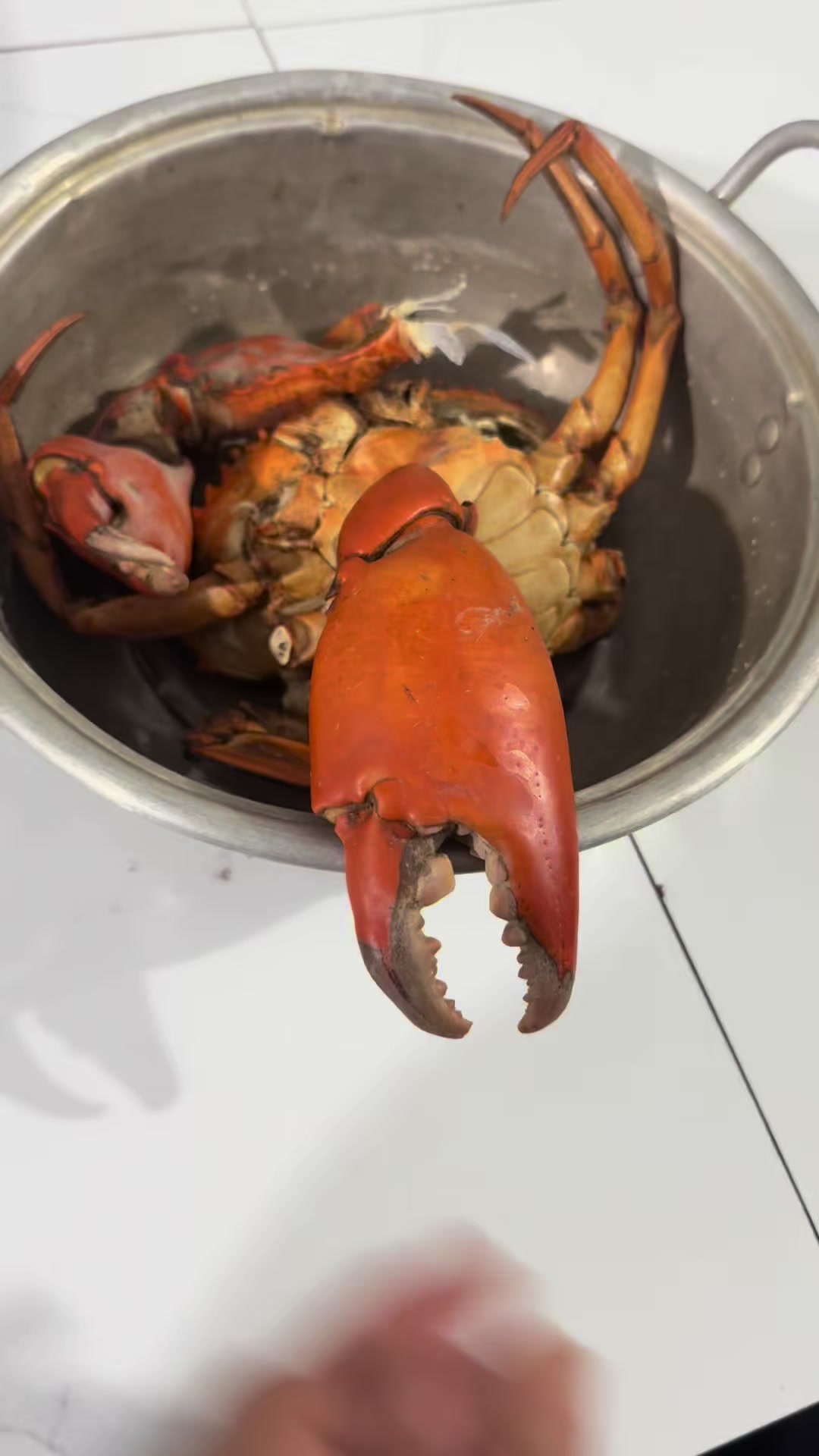 @Mai Điệp,tôm,cua,mực,cà mau.