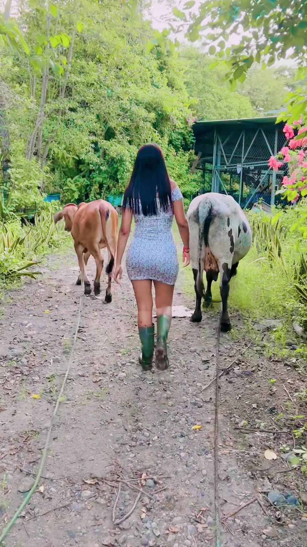 @KatiaArce
