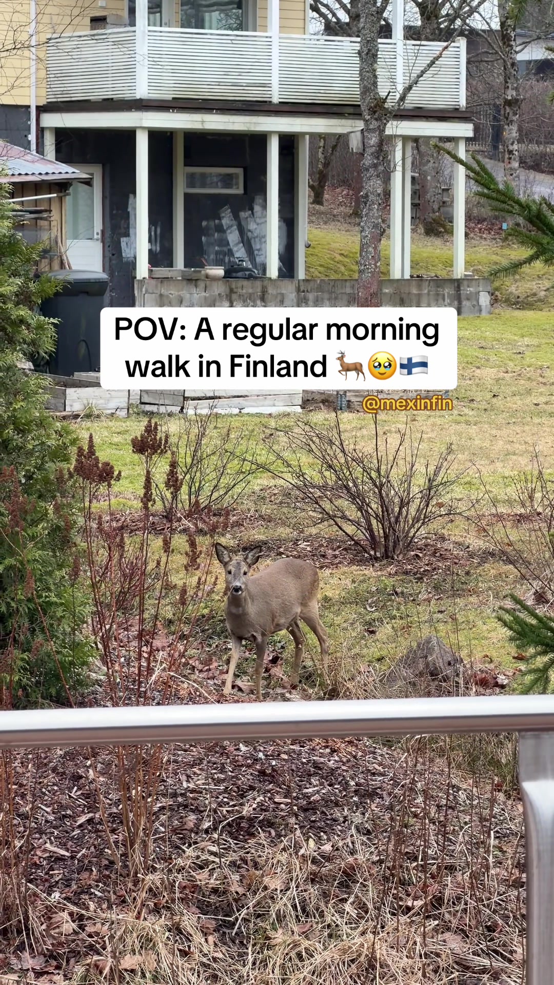 @Josué | MEX 🇲🇽 in FIN 🇫🇮