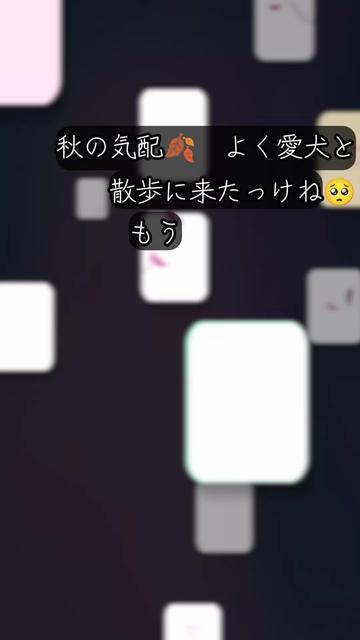 @๐นใใใญใผ๐น๐ฟ