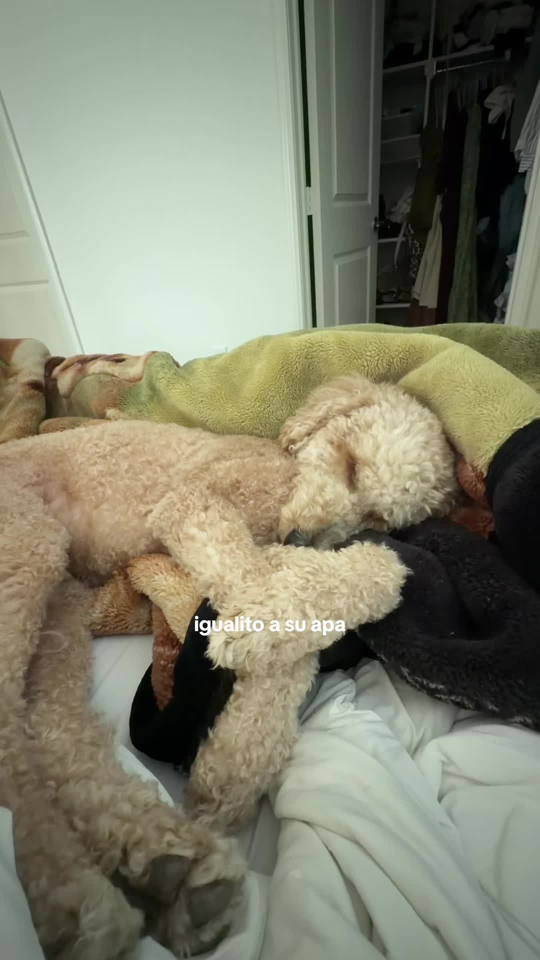 @jazzylupita